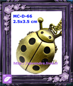 Montre Collier Coccinelle
